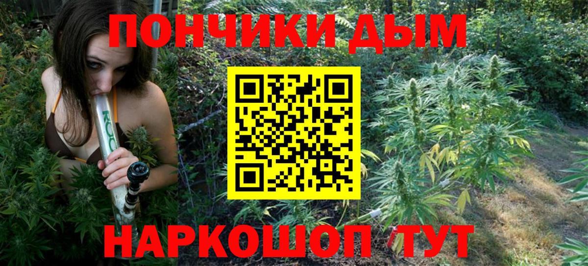 Бошки Шишки индика Печора